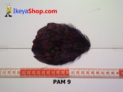 bulu PAD motif PAM 9   feather  large2